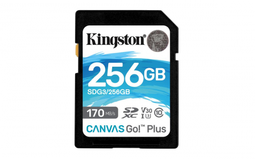17446676928115-kingstontechnologyschedasdxccanvasgoplus170rc10uhsiu3v30da256gb