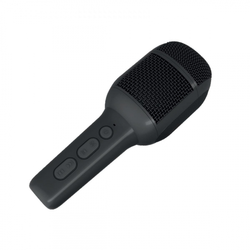 17446724757802-cellykidsfestival2bkmicrofononeromicrofonoperkaraoke