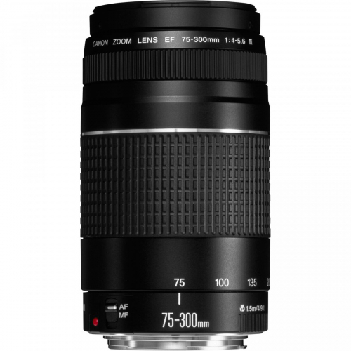 17447076291821-canonobiettivoef75300mmf456iii