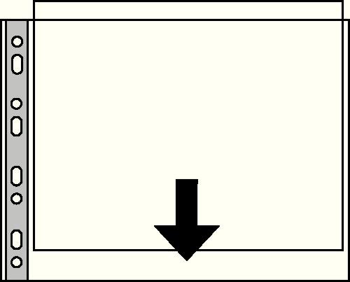 17447478334117-esselte55230fogliodiprotezione