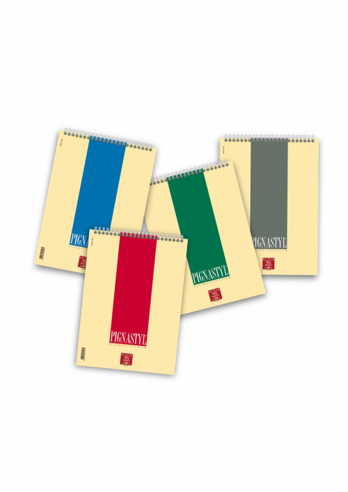 17447616313502-pignabloccopignastylaspiralea560fogli
