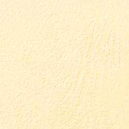 17448386961671-gbccopertinerilegaturaleathergrain250gsma4avorio100