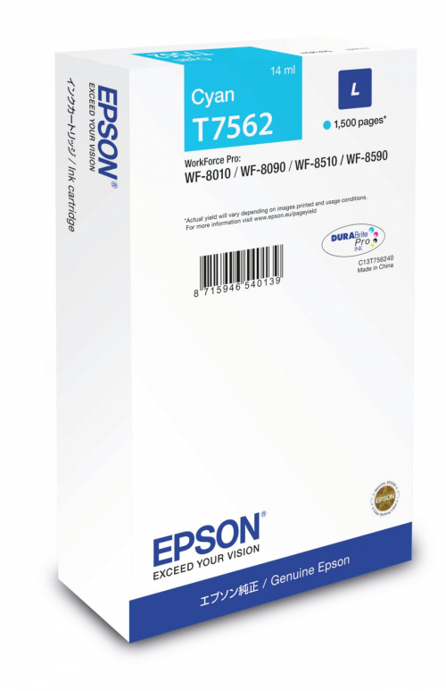 17448408619097-epsontanicaciano