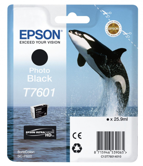 17448408805671-epsonnerophotot7601