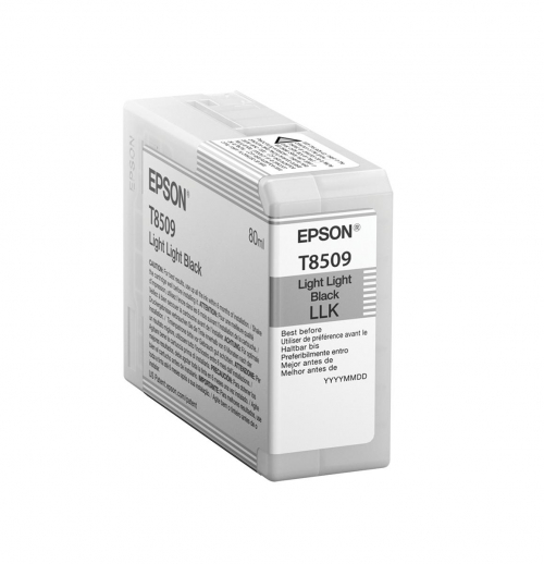 17448422943908-epsonsinglepacklightlightblackt850900