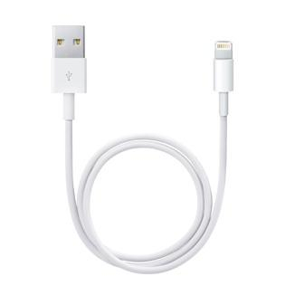 17448426756841-applecavodalightningausb05mt