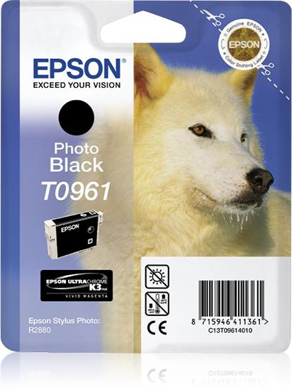 1744870326064-epsonhuskycartuccianero