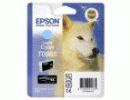 17448703434501-epsonhuskycartucciacianochiaro