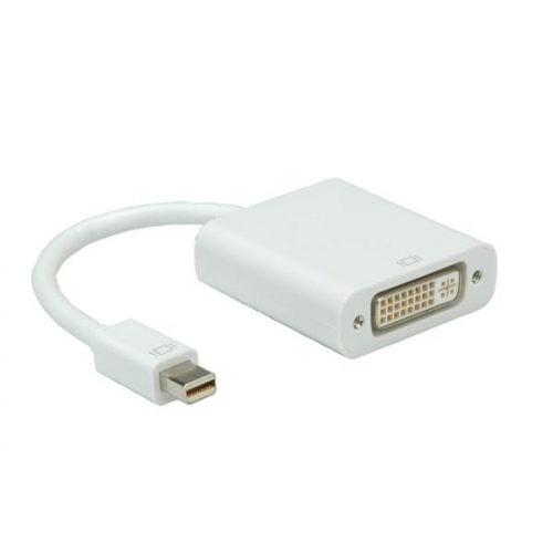 17448845926166-rolineminidisplayportdviadaptermfbianco