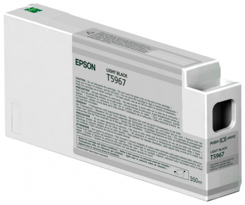 17448857877585-epsontanicanerolight