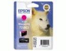 17448891345883-epsonhuskycartucciavividmagenta