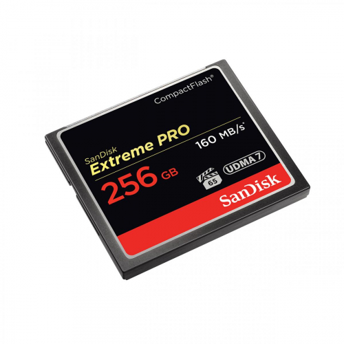 1744949055039-sandiskextremepro256gbcompactflash