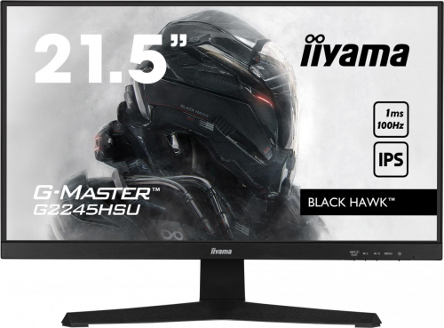 17449752523808-iiyamagmasterg2245hsub1monitorpc559cm221920x1080pixelfullhdlednero