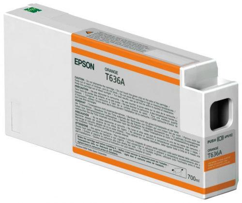 17449805758876-epsontanicaarancio