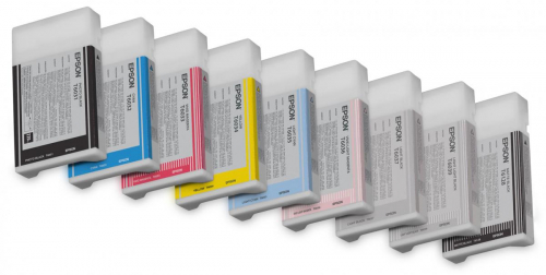 17449808013634-epsontanicamagentachiaro
