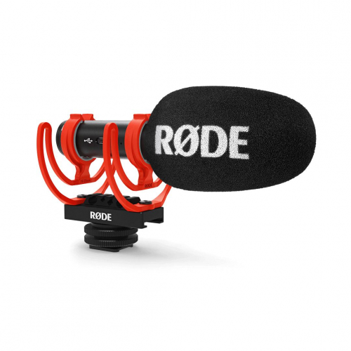 17450047844247-rodevideomicgoiineromicrofonodatavolo
