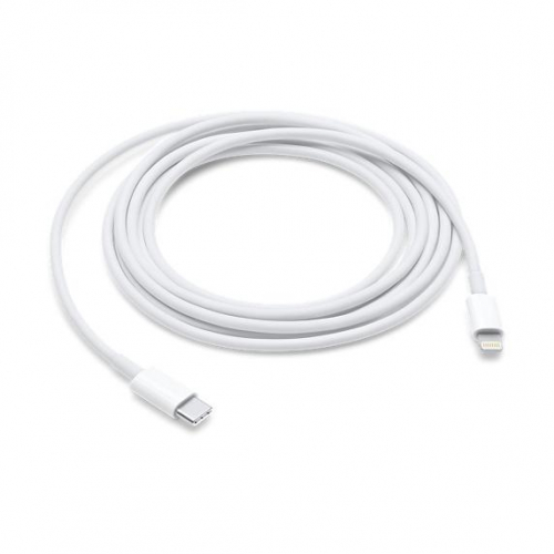 17450540797096-applecavodalightningausbc2m