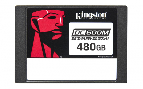 17450949798661-kingstontechnologydrivessdsatadiclasseenterprisedc600mimpiegomisto25480g
