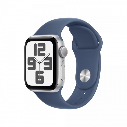 17451085830572-applewatchseoled40mmdigitale324x394pixeltouchscreenargentowifigpssatellitare