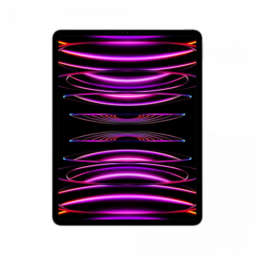 17451257581628-appleipadpro5gapplemtdltefddlte256gb328cm1298gbwifi6e80211axipados16grigio