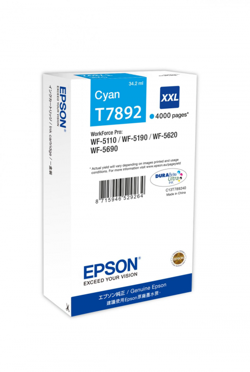 17451936958868-epsontanicaciano