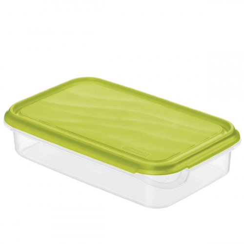 17452094690227-rotho1713905073wscontenitoreportapranzocontenitoreperilpranzo1lplasticaverdetrasparente1pz
