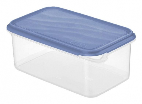 17452152646617-rotho1735906161wsrettangolarecontenitore2lblutrasparente1pz