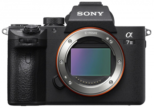 17456203936656-sony7iiife24105mmf4gossmilc242mpcmos6000x4000pixelnero