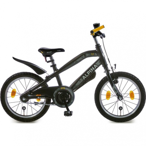 17459280620174-alpinatrialalluminionero