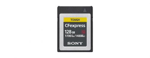 1746491237941-sonycebg128128gbpccard