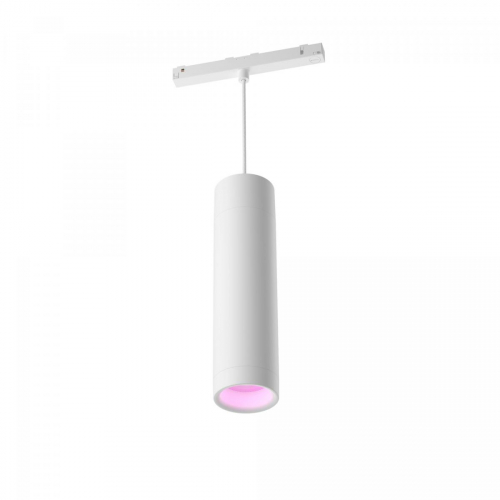 17473682035246-philipshuewhiteandcolorambianceperifocilindroasospensionebianco